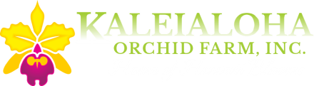 Kaleialoha Orchid Farm Inc. Home of Hawaii Blooms